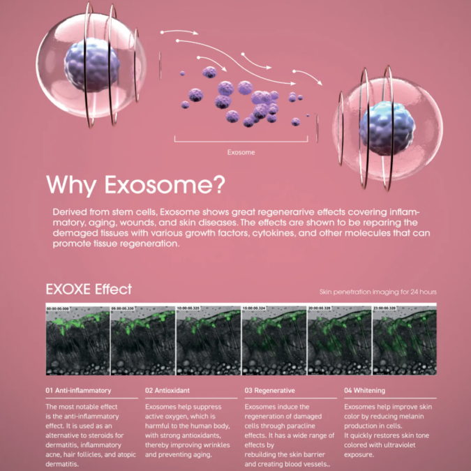 EXOXE exosomes 4